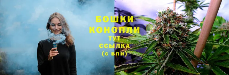 Шишки марихуана THC 21%  Переславль-Залесский 